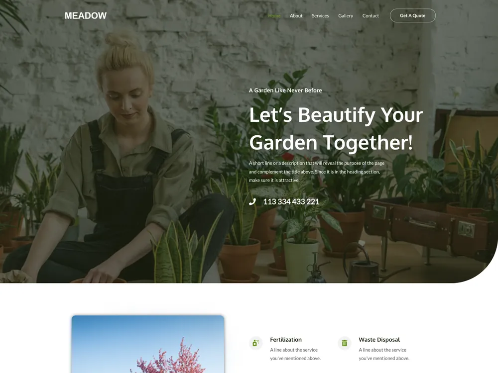 MEADOW live preview screenshot