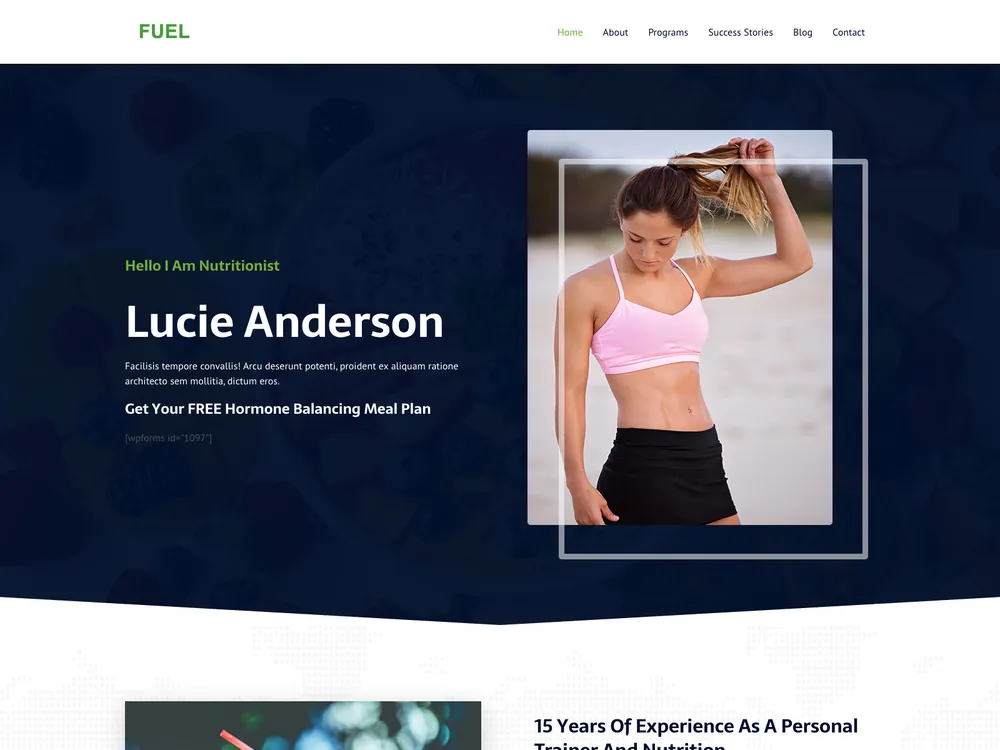 FUEL template preview
